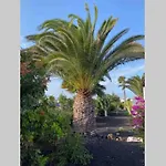 Isa Sea Views